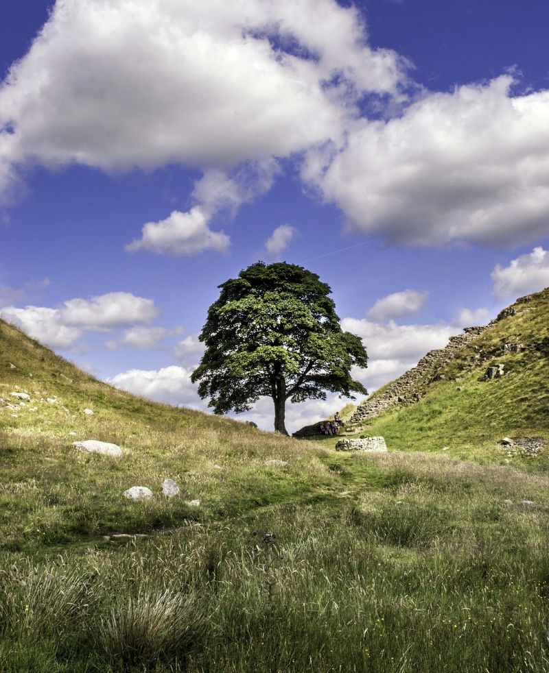Expert Brokers in Northumberland