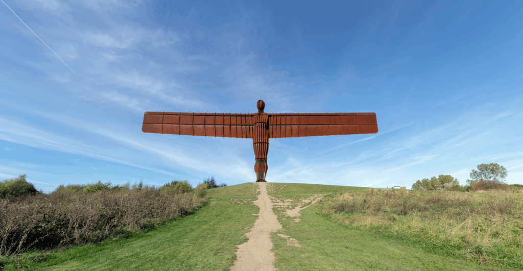 The Property Finance Co.