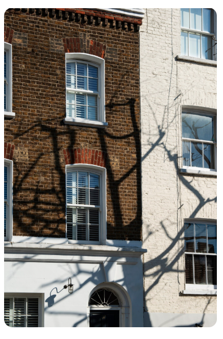 Sunlit townhouse exterior with dark brown brick and white-painted façade, sash windows, a black front door with an arched fanlight, and dramatic tree-branch shadows cast across the building.